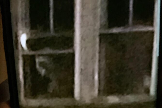 A Ghost Hunting Tour Specters and Apparitions in Salem - Stop 4: near Saint Peter’s Church headstones, chasing signals by candlelight logic
