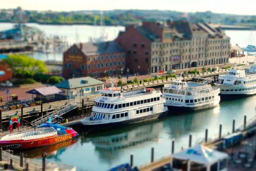 Best Of Boston: Harvard, MIT and Harbor Cruise 1 Day Tour - Harvard University in about an hour: what you can realistically absorb