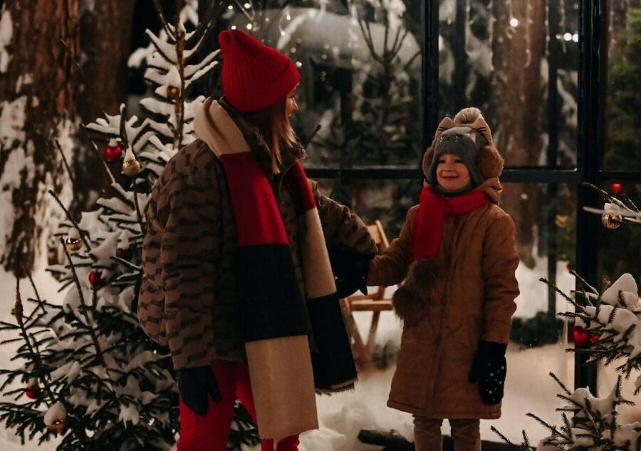 Boston: A Bostonian Christmas Private Tour - Key highlights worth planning around