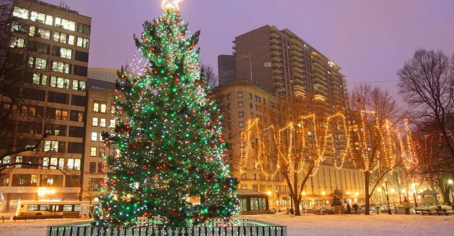 Boston: A Bostonian Christmas Private Tour - What this 2-hour Boston Christmas private tour actually feels like