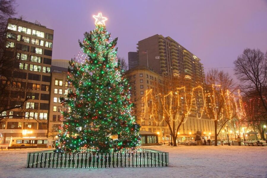 Boston: A Bostonian Christmas Private Tour - Christopher Columbus Waterfront Park, harbor views with a built-in warm-up pause