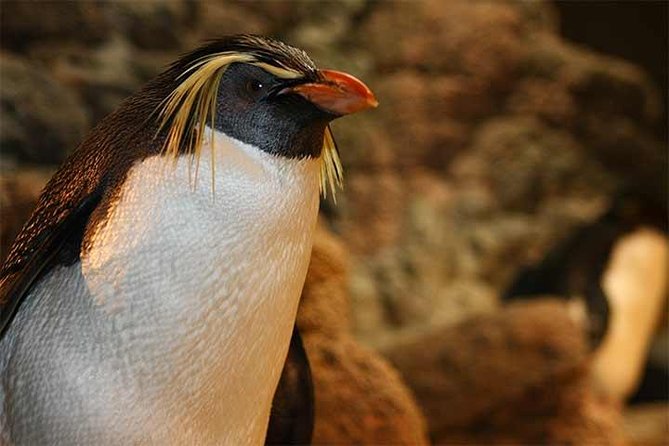 Boston CityPASS® - Museum of Science: Plan a Real Half Day of Hands-On Fun