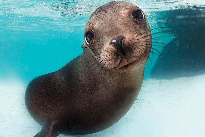 Boston CityPASS® - Harvard Museum of Natural History: Campus Walking You Should Plan For