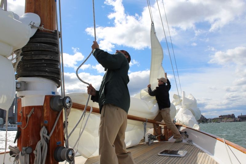 Boston: Downtown Harbor Sailing Cruise - Comfort and motion: how to set yourself up for an easy ride