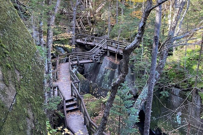 Boston Fall Foliage Day Trip to White Mountains, Lost River Gorge - Boston to the White Mountains: the easy start that matters