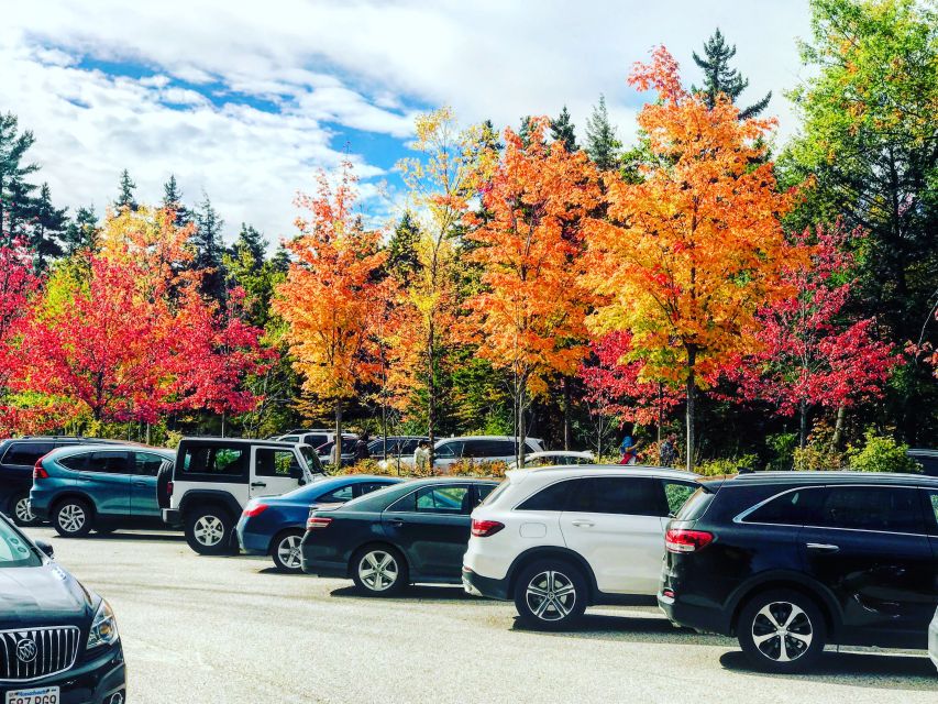 Boston: Fall Foliage Tour - Key highlights to expect on the Boston fall foliage tour