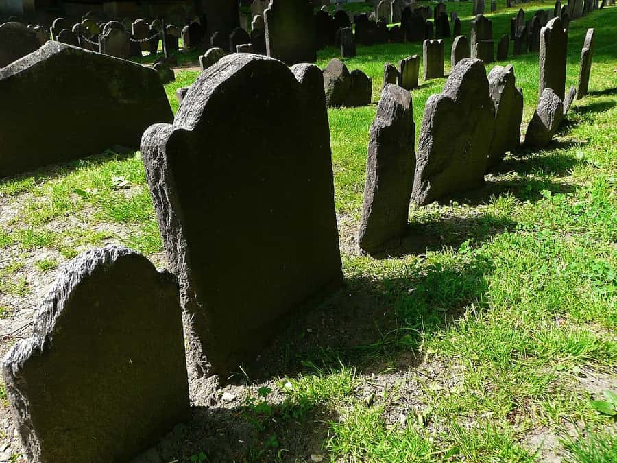 Boston: Freedom Trail and North End Food & History Tour - Starting at Beacon Hill, right by Boston Common