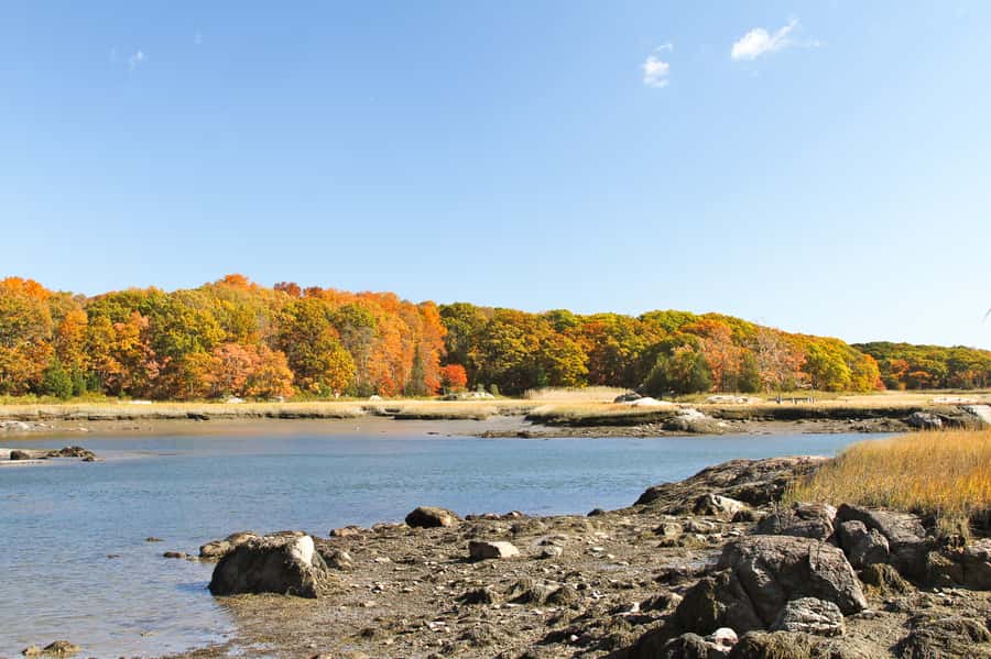 Boston Harbor: Fall Foliage Luncheon Cruise - Sights You’ll Pass: Spectacle and Thompson Islands