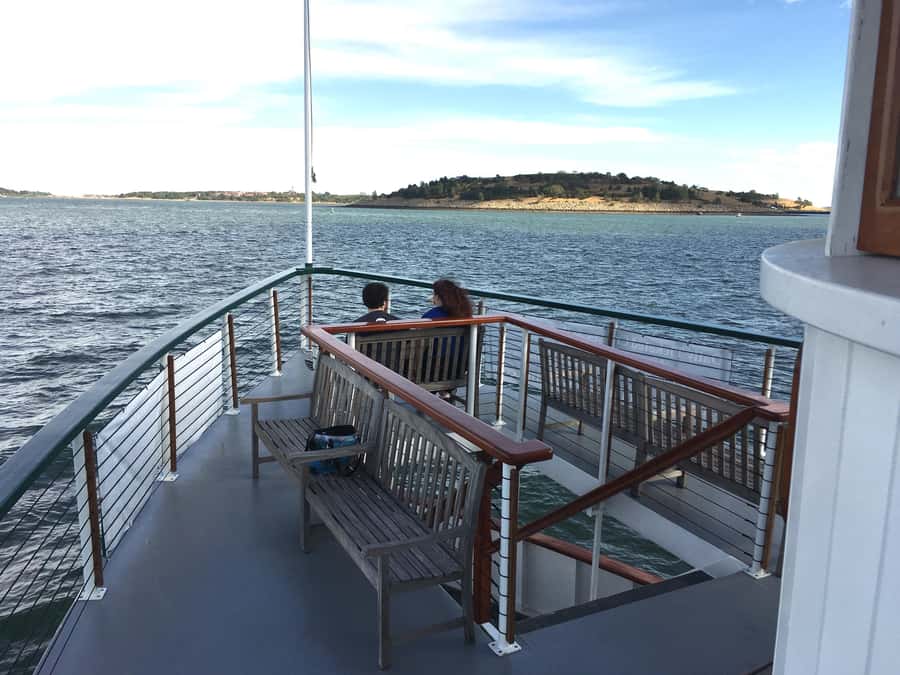 Boston Harbor Fall Foliage Weekend Brunch Cruise - Wildlife and narration: the fun part most people forget to plan for