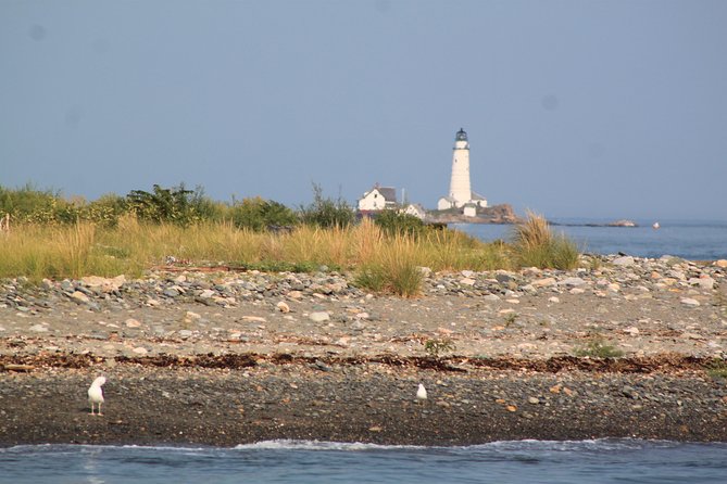 Boston Harbor Sightseeing Cruise - Price and Value at Around $46 for 90 Minutes