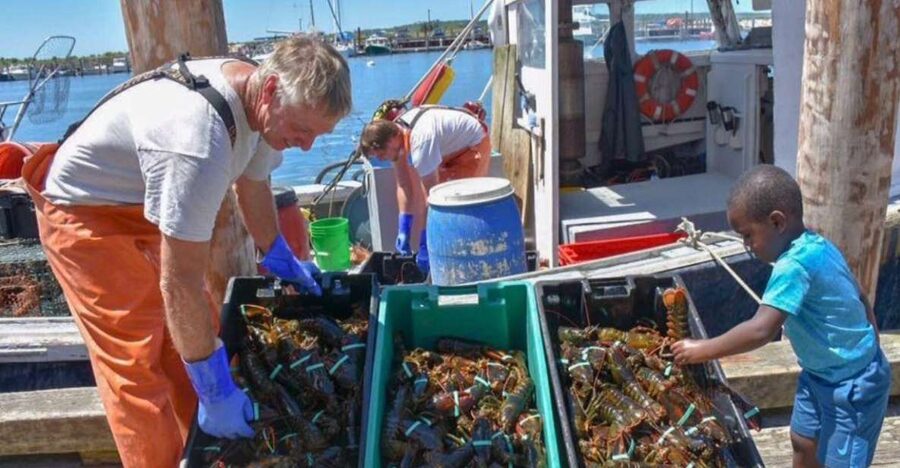 Boston: Kennebunkport Day Trip with Optional Lobster Tour - Key highlights worth planning around
