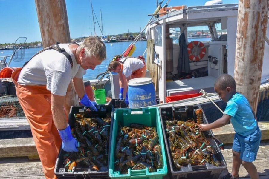Boston: Kennebunkport Day Trip with Optional Lobster Tour - Matt as a guide: why his style is the secret ingredient