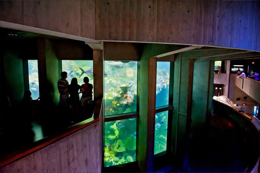 Boston Pass: Save up to 50% - Includes Franklin Park Zoo - Boston in a box with a pick-your-own itinerary