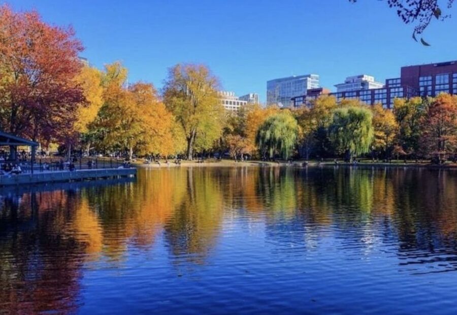 Boston Premium Driving Tour with Boat Cruise and Bunker Hill - Should you book this Boston Premium Driving Tour with Boat Cruise and Bunker Hill?
