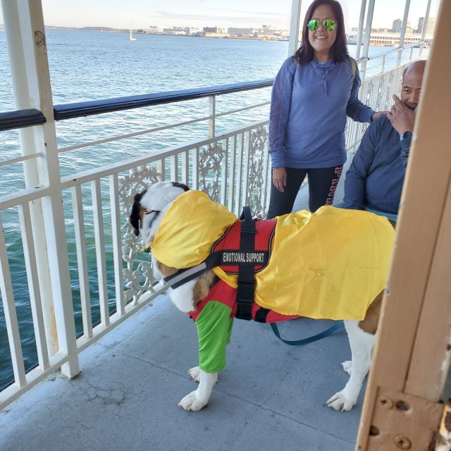 Boston: Scenic Harbor Cruise (Dog-Friendly) - Bringing dogs and keeping families together