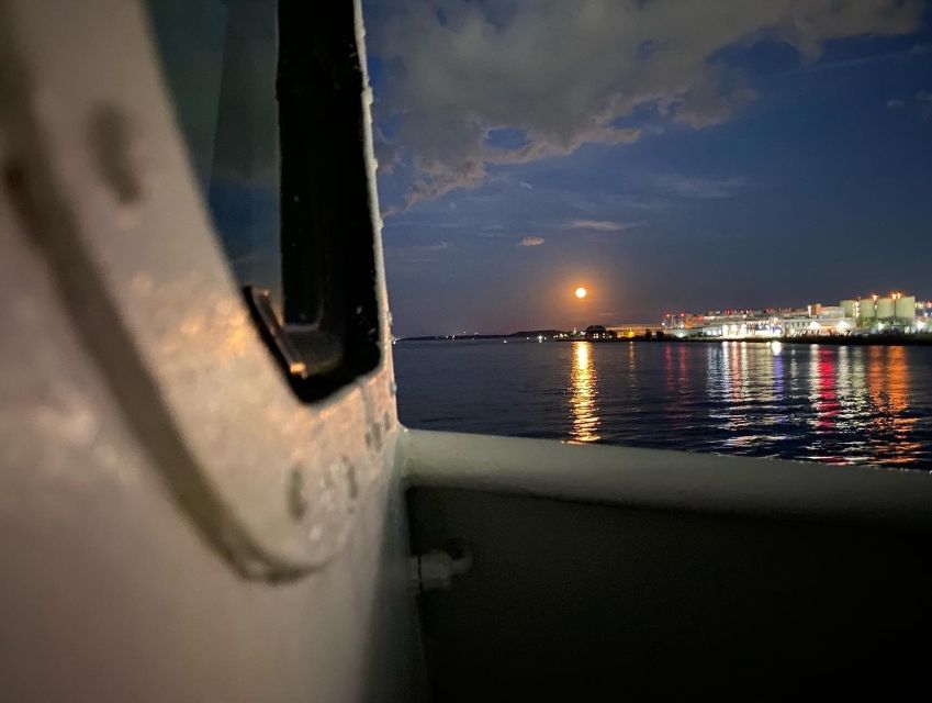 Boston: Scenic Moonlight Harbor Cruise - Who should book this cruise, and who should skip it