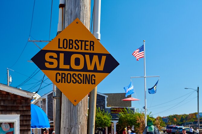 Boston to Kennebunkport Day Trip with Optional Trolley Tour - Price and value: what $135 buys you on this kind of day