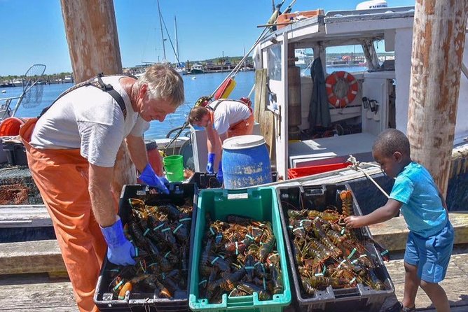 Boston to Kennebunkport with Optional Lobster Tour - Key things that make this tour work well