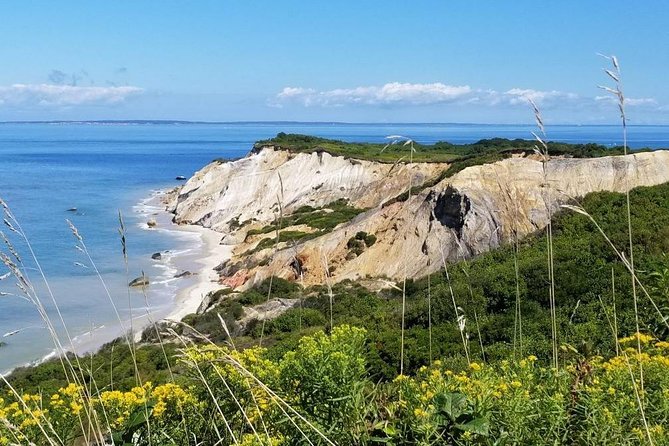 Boston to Martha's Vineyard Day Trip with Optional Island Tour - Oak Bluffs Arrival, Then Gingerbread Cottages and Carousel Time