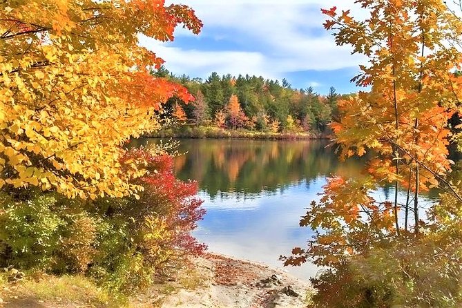 Boston to New Hampshire Fall Foliage White Mountains Day Trip - Small Town Reset in North Conway for Lunch and Shopping