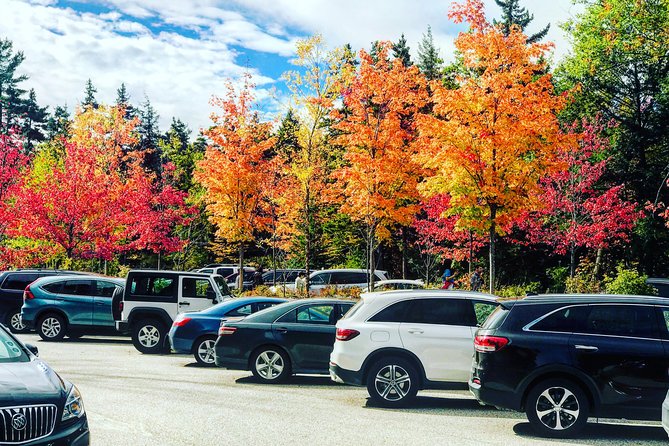 Boston to New Hampshire Fall Foliage White Mountains Day Trip - What You Actually Get for the Price