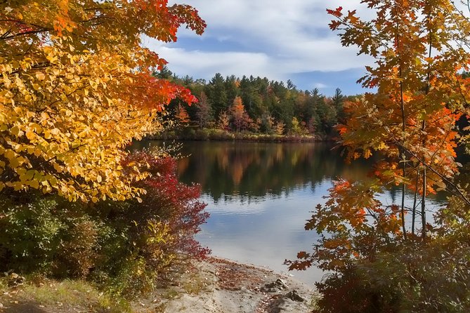 Boston to New Hampshire Fall Foliage White Mountains Day Trip - Guides and Group Size: Why the Experience Feels Smooth