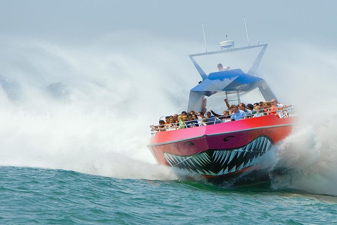 City Cruises Boston Codzilla High-Speed Thrill Boat Ride - Codzilla at a glance: the quick hits you’ll care about