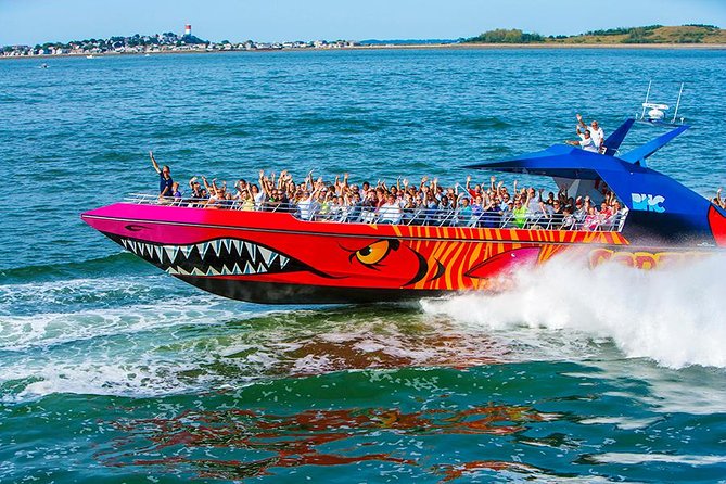 City Cruises Boston Codzilla High-Speed Thrill Boat Ride - The overall value: when Codzilla feels worth the money