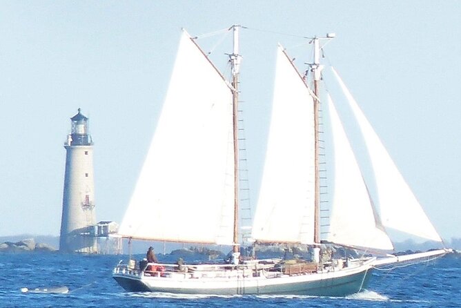Classic Tall Ship Cruise in Boston Harbor - The best kind of traveler for a tall-ship harbor sail