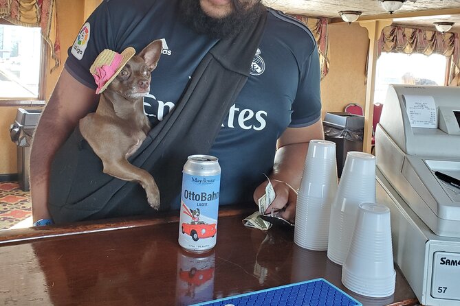 Dog Day of Summer Harbor Cruise in Boston - A 1.5-hour harbor cruise with dogs: what the experience feels like