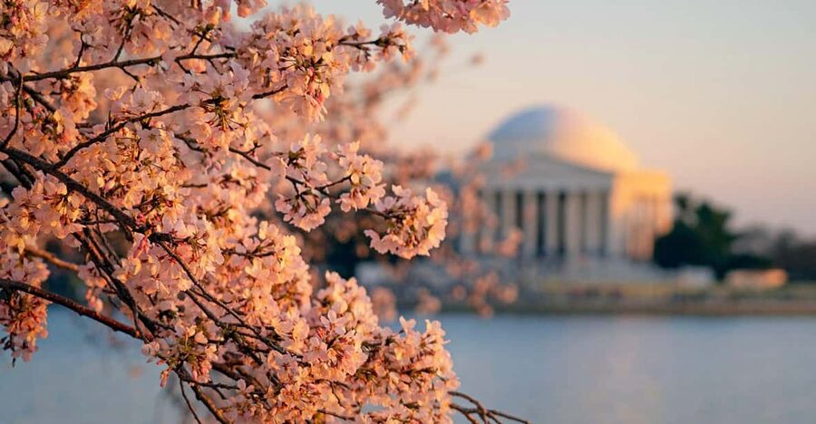 From Boston: 4-Day Tour to New York, D.C.&Niagara Falls - Is This Boston to Niagara Falls Tour Worth the $645 Price?