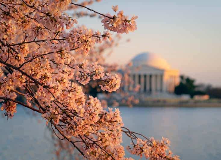 From Boston: 4-Day Tour to New York, D.C.&Niagara Falls - Day 2: Philadelphia to Washington DC, Capitol Time and Memorial Walks
