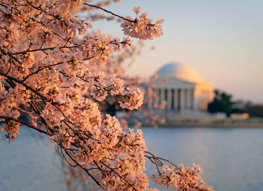 From Boston: 4-Day Tour to New York, D.C.&Niagara Falls - Guide Style, Language, and Why This Can Feel Fast