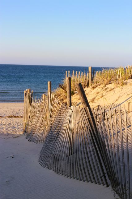 From Boston: Cape Cod and Plymouth Day Tour - Lunch Set Aside in Sandwich or Plymouth, and Why Timing Matters
