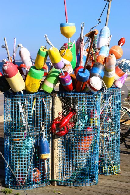 From Boston: Cape Cod and Plymouth Day Tour - Lobster Pound Stop: A Loud, Local Industry Moment