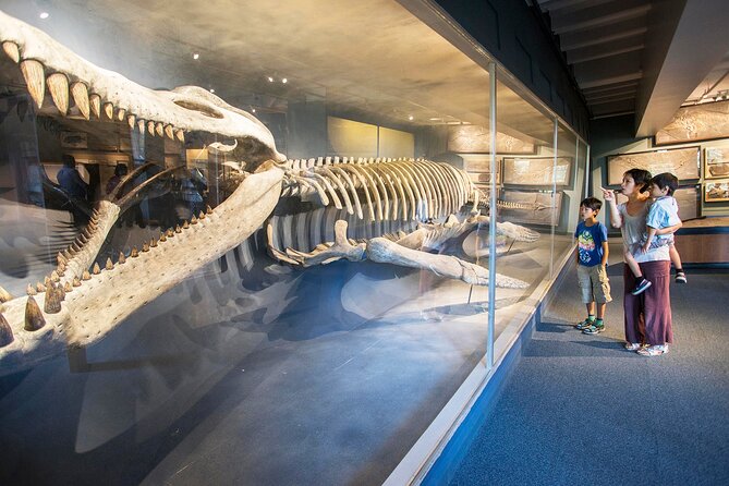 Go City: Boston Explorer Pass - Choose 2, 3, 4 or 5 Attractions - Sports and indoor tours: TD Garden and The Sports Museum