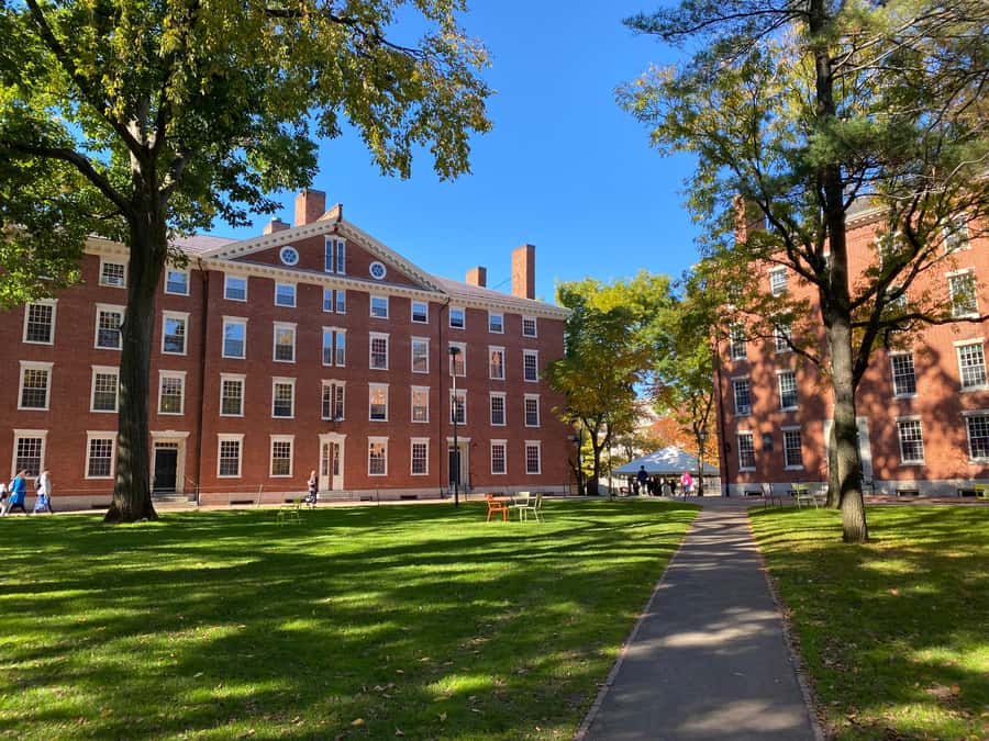 Harvard: America's oldest university - walking tour in French - Price and value: $35 for two hours that actually stays focused