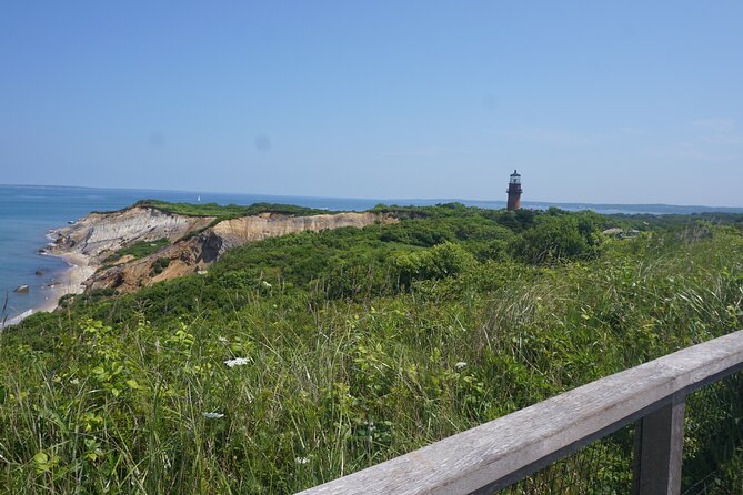 Martha's Vineyard Day Trip with Optional Island Tour from Boston - Long-day logistics, crowd size, and how to avoid the common pitfalls