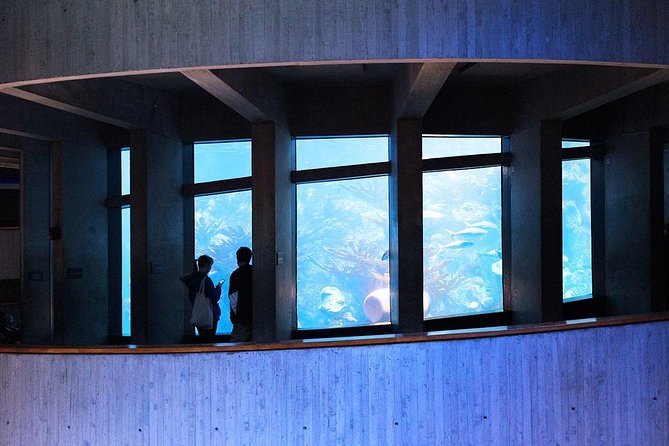 New England Aquarium Admission Ticket in Boston - Key things I’d plan around