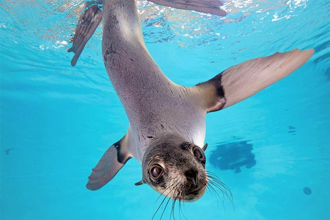 New England Aquarium Admission Ticket in Boston - Timed, mobile admission that actually saves your time