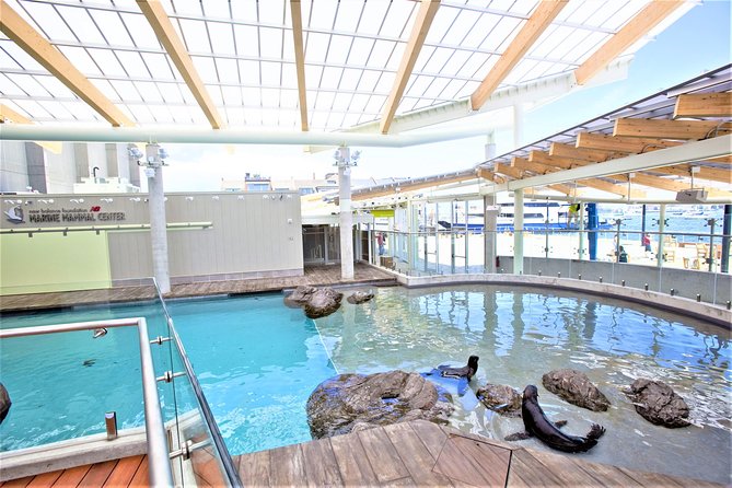 New England Aquarium Admission Ticket in Boston - Seals, sea lions, and live animal presentations