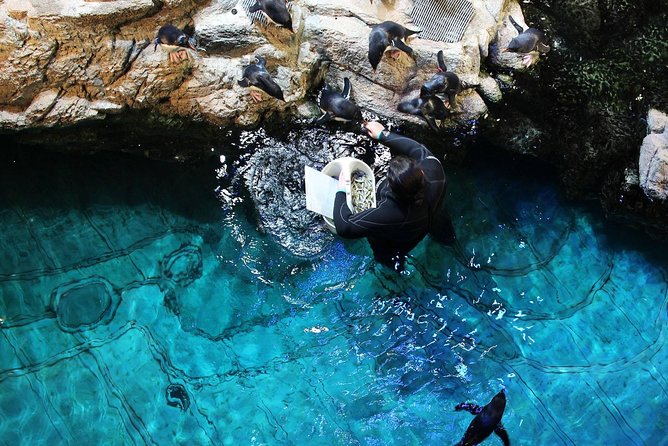 New England Aquarium Admission Ticket in Boston - Staying sane in the crowds: how to handle a packed Boston aquarium