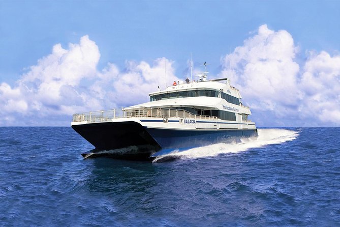 Provincetown and Cape Cod High Speed Ferry to/from Boston - Long Wharf to Cape Cod Bay: What the 90-Minute Ride Is Really Like