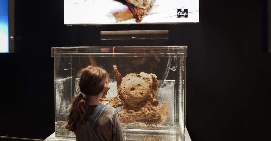 Salem: Pirate Museum with Authentic Treasures Entry Ticket - The shipwreck angle: why the recovery story matters