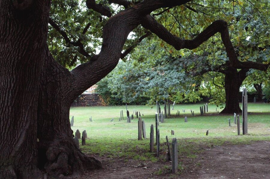 Salem: Requiem for Salem Walking Ghost Tour - Key Things You Should Know Before You Go