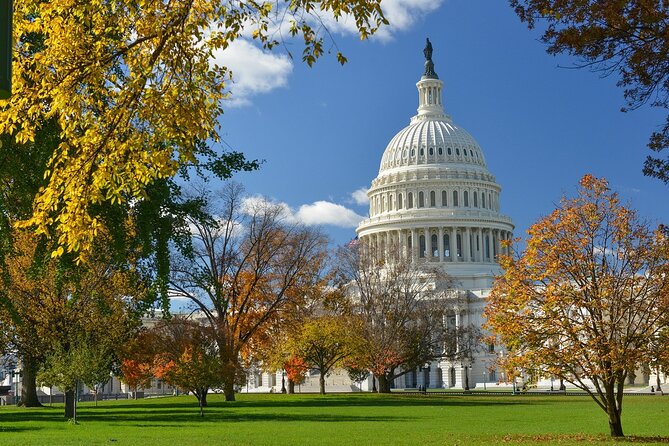 Washington D.C. Cherry Blossom,Baltimore 3-Day Tour from Boston - Price and value: $499 for hotel plus three-city touring